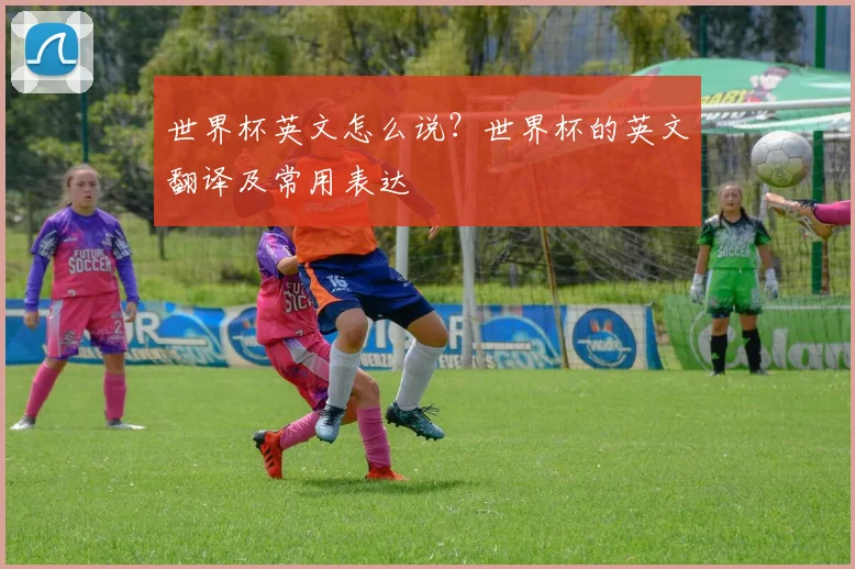世界杯英文怎么说?世界杯的英文翻译及常用表达