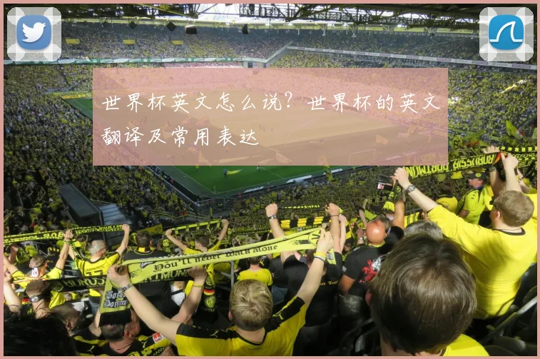 世界杯英文怎么说？世界杯的英文翻译及常用表达