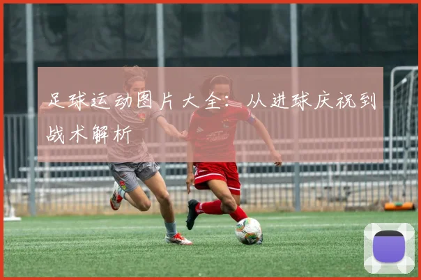 足球运动图片大全：从进球庆祝到战术解析